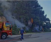 queimadas-para-limpeza-podem-ter-causado-incendio-em-governador-celso-ramos