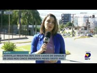 joinville-registra-80%-dos-casos-de-dengue-de-2022-nos-cinco-primeiros-meses-deste-ano