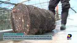 barco-sustentavel-e-utilizado-para-facilitar-a-criacao-de-ostras-e-mariscos-em-florianopolis