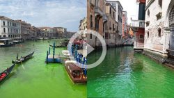 video:-mancha-misteriosa-verde-fluorescente-intriga-autoridades-de-veneza