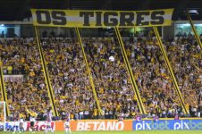 criciuma-e-o-unico-time-de-sc-entre-as-20-medias-de-publicos-do-campeonato-brasileiro