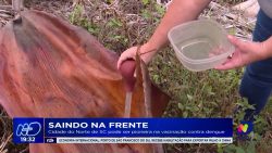 joinville-pode-ser-pioneira-na-vacinacao-contra-dengue