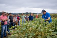 cooperativas-de-agronegocio-foram-as-que-mais-geraram-postos-de-trabalho-em-2022