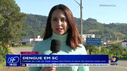 dengue-em-sc:-cidade-do-vale-do-itajai-segue-sem-focos-e-casos-da-doenca-neste-ano