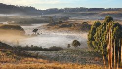 sc-chega-a-0°c-e-tem-chance-de-geada-e-nevoeiro;-veja-previsao-do-fim-de-semana