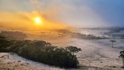 sc-vai-de-geada-a-27°c-neste-sabado:-confira-as-temperaturas-por-regiao