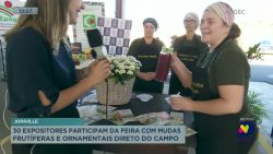 30-expositores-participam-de-feira-com-mudas-frutiferas-e-ornamentais-direto-do-campo-em-joinville