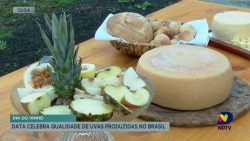 dia-do-vinho-celebra-qualidade-de-uvas-produzidas-no-brasil