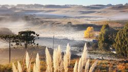 sol-e-frio?-domingo-comeca-com-tempo-firme,-temperaturas-baixas-e-geada-em-santa-catarina