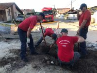 cao-e-gato-presos-em-tubulacao-sao-resgatados-por-equipes-do-cbmsc-em-porto-belo