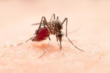 joinville-registra-mais-4-mortes-e-bate-recorde-historico-de-obitos-por-dengue