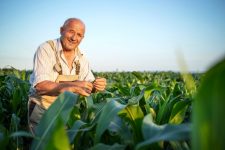 o-agronegocio-catarinense-tambem-e-sustentavel;-entenda