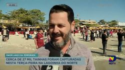 cerca-de-27-mil-tainhas-foram-capturadas-nesta-terca-feira-em-florianopolis