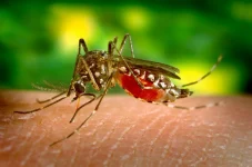 santa-catarina-tem-mais-de-10-mil-casos-de-dengue-e-10-mortes-confirmadas