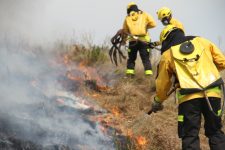 queimadas-em-terrenos-podem-gerar-prisao-e-multa-em-chapeco;-veja-como-denunciar