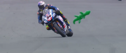 video:-jacare-provoca-bandeira-vermelha-em-treino-da-superbike