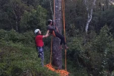 fotos:-homem-fica-preso-no-topo-de-araucaria-e-e-resgatado-pelos-bombeiros-em-itaiopolis