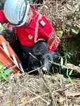 cao-e-resgatado-apos-passar-dias-em-buraco-de-4-metros-em-sc;-fotos