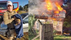 policia-militar-rodoviaria-resgata-cachorro-durante-incendio-em-residencia