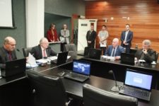 avanca-no-parlamento-projeto-que-regulamenta-a-equoterapia-em-santa-catarina