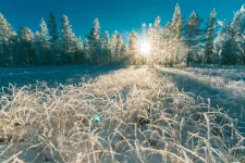 -7,6°c-em-sc:-previsao-do-tempo-desta-quinta-feira-promete-nevoeiros-e-temperaturas-baixas