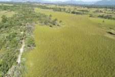 condicoes-climaticas-propicias-para-incendio-geram-alerta-das-equipes-do-parque-estadual-da-serra-do-tabuleiro