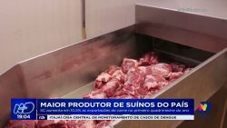 maior-produtor-de-suinos-do-pais:-somente-nos-4-meses-do-ano,-sc-aumenta-em-10,5%-as-exportacoes