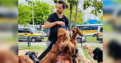 microchips-permitiram-localizar-cachorros-do-ator-jeff-machado,-encontrado-morto-no-rj