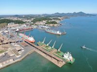 porto-de-sao-francisco-do-sul-recebe-habilitacao-para-exportar-milho-a-china