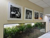 centro-de-cultura-abre-exposicao-fotografica-sobre-‘trabalhos-de-santa-catarina’