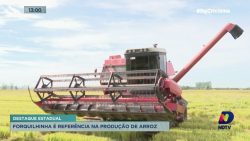 forquilhinha-se-destaca-na-producao-de-arroz-no-estado-de-santa-catarina